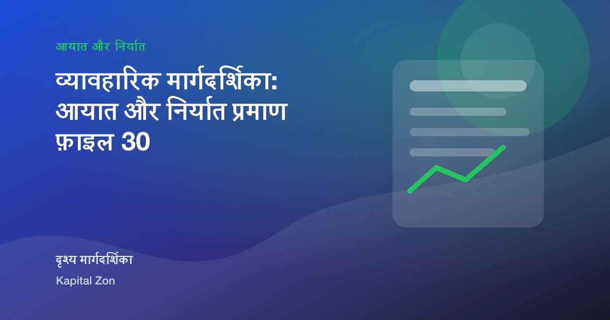 व्यावहारिक मार्गदर्शिका: आयात और निर्यात प्रमाण फ़ाइल 30
