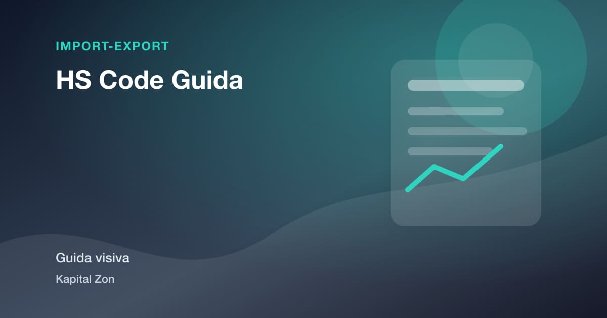 Sintesi visiva di HS Code Guida