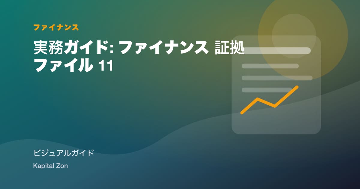 実務ガイド: ファイナンス 証拠ファイル 11