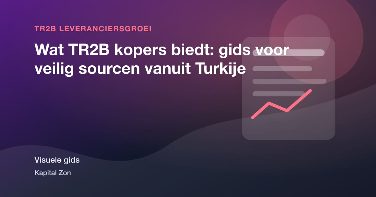 Visuele samenvatting van Wat TR2B kopers biedt: gids voor veilig sourcen vanuit Turkije